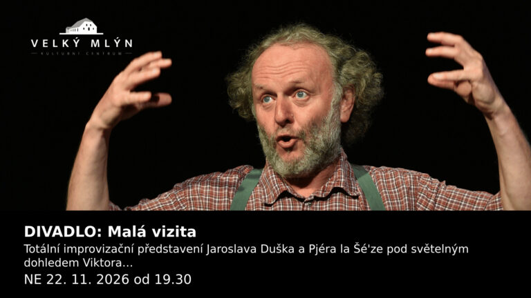 DIVADLO: Malá vizita — NE 22. 11. 2026 od 19.30